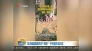 武汉居民隔窗高呼“假的”中央指导组回应资讯搜索最新资讯爱奇艺