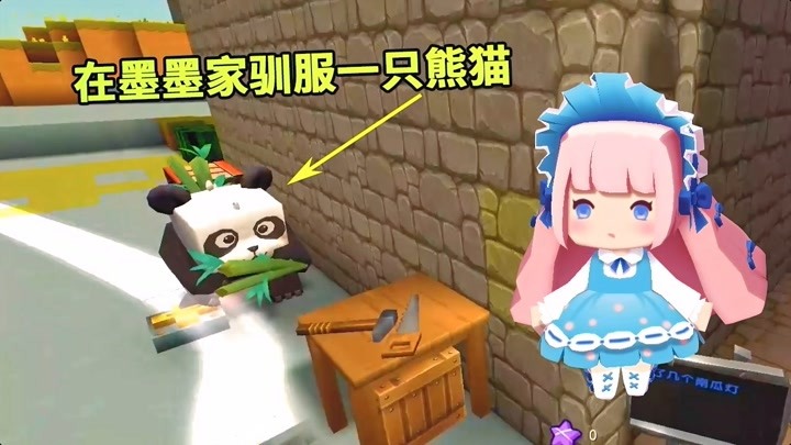 萌虎妹子