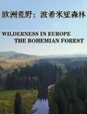 欧洲荒野：波希米亚森林