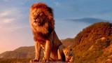 狮子王：老狮王被害死，小狮子辛巴王者归来复仇，称霸百兽之王！