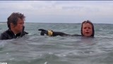 大白鲨：一群人大海游玩，突然感觉情况不对，掉头就往岸上游