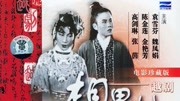 相思树(1950)电影完整版视频在线观看爱奇艺