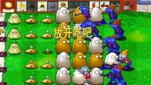 植物大战僵尸66:只用金盏花加小辣椒过关,复制高坚果登场