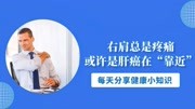 《健康养生大课堂》第20200731期提醒:右肩总是疼痛,或许是肝癌在“靠近”,别不当回事健康完整版视频在线观看爱奇艺