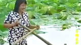 您的亲姐已将“惊喜大礼”送到，请注意查收！