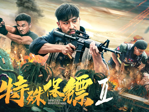 特殊保镖2