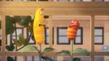 爆笑虫子：小红小黄吃种子长成植物，太搞笑了！