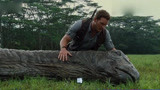 侏罗纪世界：男主看到十几米的腕龙躺在地上，心里很难受，心疼了