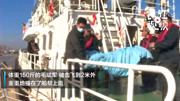 突发！台州一渔民受伤 海陆联动生死2小时紧急救援
