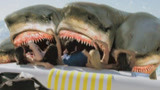 夺命巨鲨：变异鲨鱼竟在陆地上到处吃人，机枪大炮都没用，太可怕