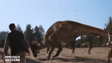 侏罗纪公园2：人类捕捉恐龙，只敢对食草龙下手，肉食的不敢惹