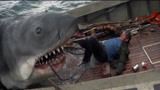 大白鲨：大鲨鱼一跃而起，张嘴竟活吞了船长！