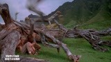 侏罗纪公园：博士差点被恐龙踩死，还好有树躲着，恐龙都忙着逃命