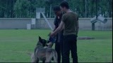战狼犬：微笑和小龙互相看不惯，一见面就掐架！