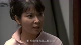 我的土地我的家：儿子想搞种子基地，父亲却反对，儿媳说出大实话
