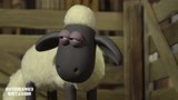 小羊肖恩大电影：农场主支配小羊，伤心也没办法，怎么办