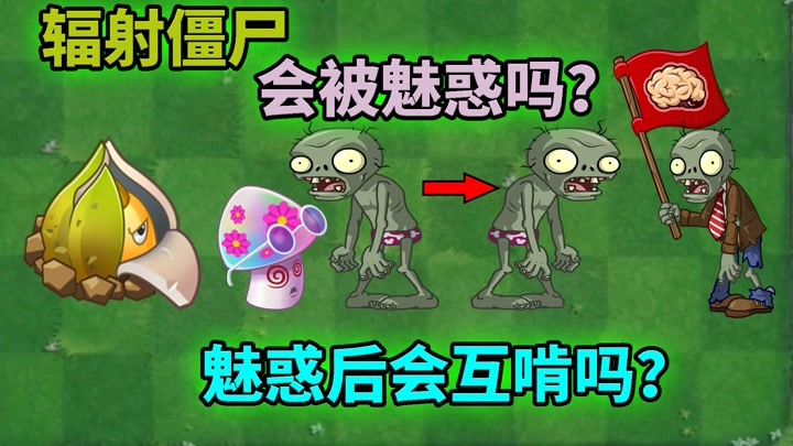 pvz2流言终结者 辐射僵尸会被魅惑吗?