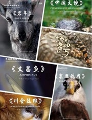 中国珍稀物种