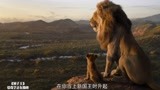 狮子王：小狮子没了爸爸，长大后复仇，最后成为了狮子王