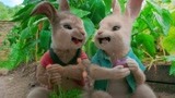 比得兔：一进菜园子，小兔子们纷纷暴露本性，秒变吃货疯狂啃萝卜
