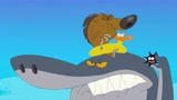 鬣狗游泳圈被扎破 鲨鱼哥警惕性真高
