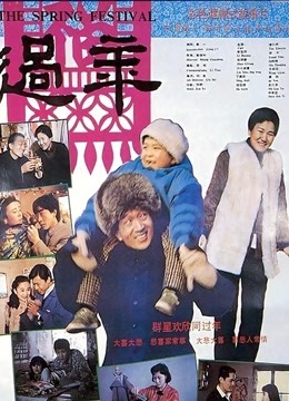 Watch the latest 过年 (1991) online with English subtitle for free English Subtitle Movie