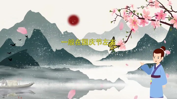 阿西聊故事：花江夏树