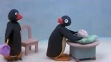 企鹅家族：企鹅妈妈急哭了，小企鹅蛋生病了，紧急呼叫企鹅医生
