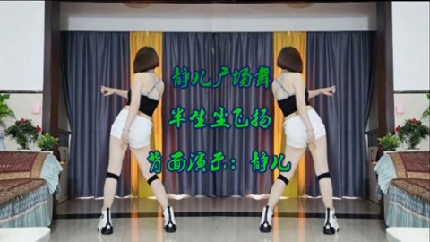 背面广场舞DJ《半生尘飞扬》喜欢的一起跳起来吧