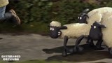 小羊肖恩：肖恩带着小羊集体出逃，直接跑去度假了！