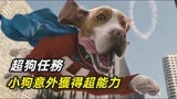 超狗任务：小狗被警队开除，意外获得超能力，成超级英雄惩恶扬善