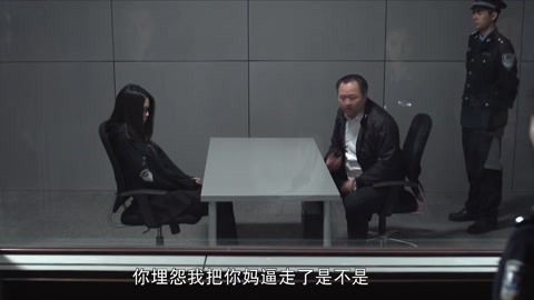 中国刑警803英雄本色