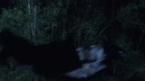 《僵尸福星仔》：大僵尸蹦蹦跳跳，一个翻滚，秒变一群小僵尸！