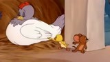 猫和老鼠：杰瑞打造小黄鸭，最靓小鸭子登场，真是漂亮