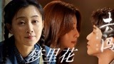 《耀眼的你啊》联动《人世间》，郑娟来世再爱一次，谁有福了？