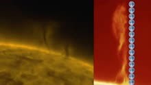 NASA观测到有史以来最大的太阳“龙卷风” 高度约地球直径的14倍