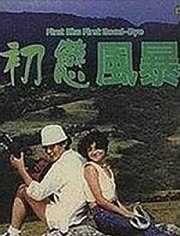 初恋风暴（1978）