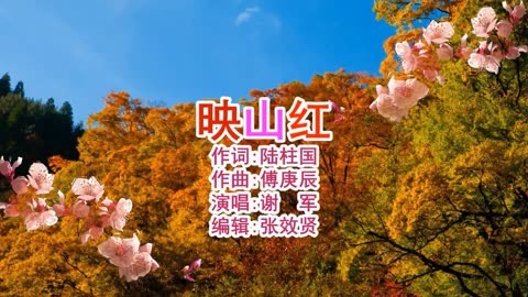 谢军演唱《映山红》经典回顾，深情好听