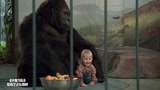 小鬼当街：宝宝为了不被坏人抓，让大猩猩保护他！真机智