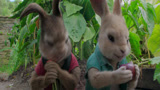 比得兔：小兔子们一进菜园子，暴露吃货本性