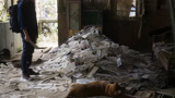 忠犬八公：八筒叼了很多报纸在旧家，太感人了