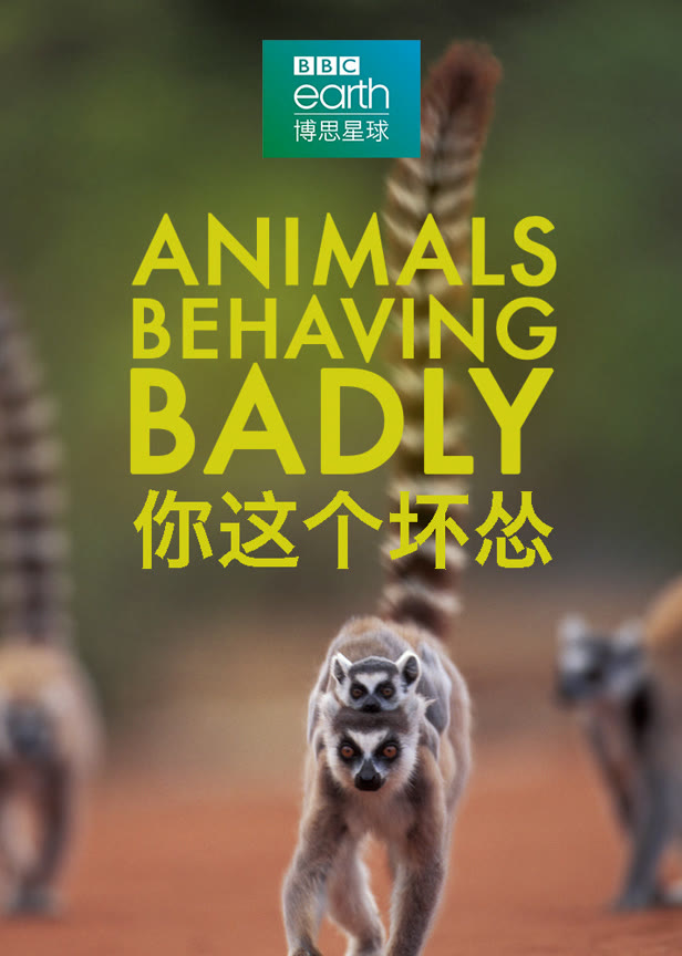 你这个坏怂