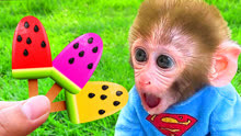 有趣的小猴子：小猴子吃西瓜水果冰淇淋午餐，和小鸭子在泳池游泳