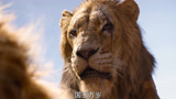 《狮子王》辛巴的传奇故事