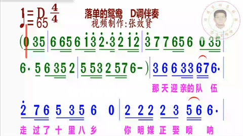 《落单的鸳鸯》简谱D调伴奏