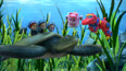 乘古巨龟遨游海底