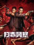 扫毒风暴