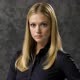 A.J. Cook