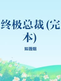 终极总裁(完本)