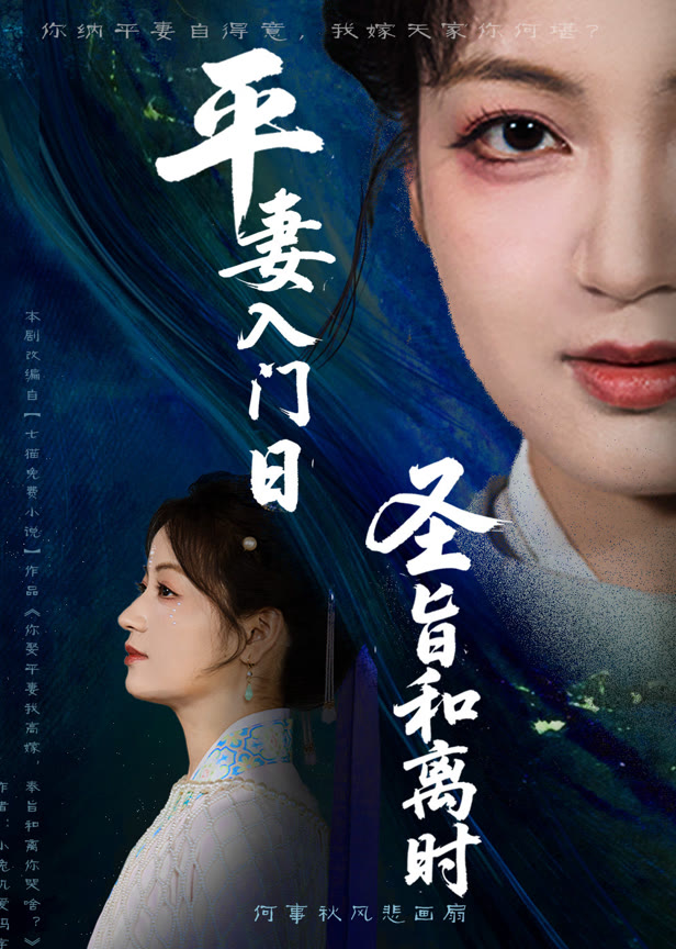 平妻入门日圣旨和离时